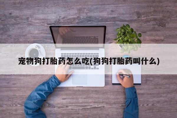 打胎药私人联系方式微信宠物狗打胎药怎么吃(狗狗打胎药叫什么)