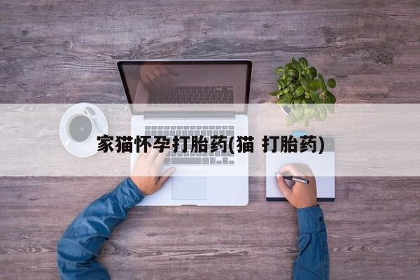 打胎药私人联系方式微信家猫怀孕打胎药(猫 打胎药)